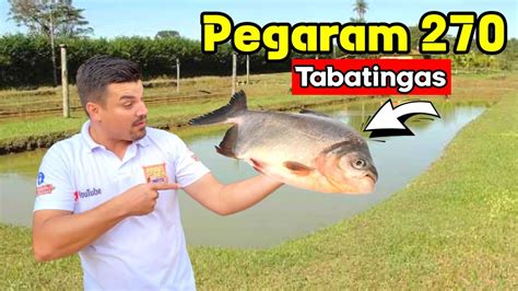 Pescaria Rendeu Muito Peixe Veja Tudo Oque Aconteceu Nessa Pescaria