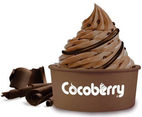 Franchise in India: Cocoberry Ice Cream Franchise Cost in India