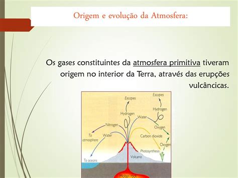 Teorias E Origem Da Vida Ppt Carregar