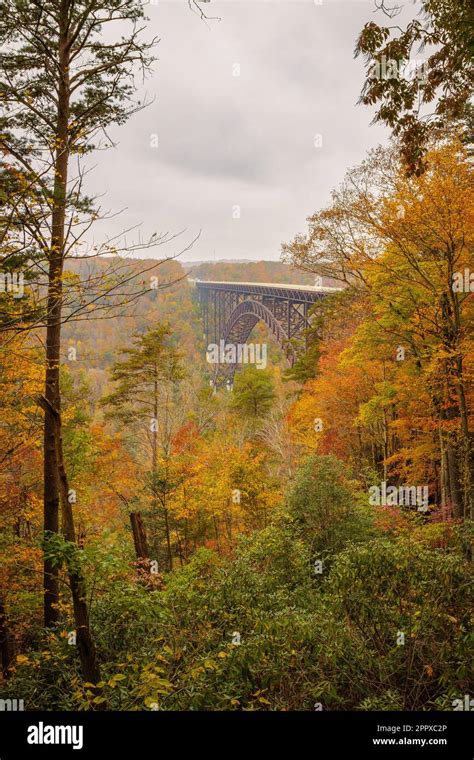 An aerial view of a colorful autumn landscape with a bridge in New River Gorge National Park ...