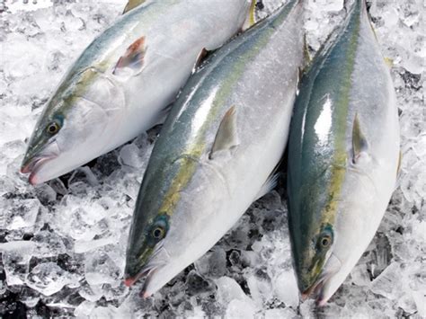 Рыба / Ассортимент