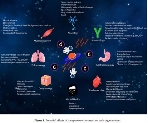 Aerospace Medicine On Twitter Human Health During Space Travel State