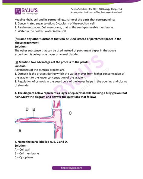 Selina Solutions Concise Biology Class 10 Chapter 4 Absorption By Roots