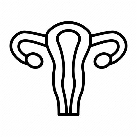 Female Organ Uterus Icon Download On Iconfinder