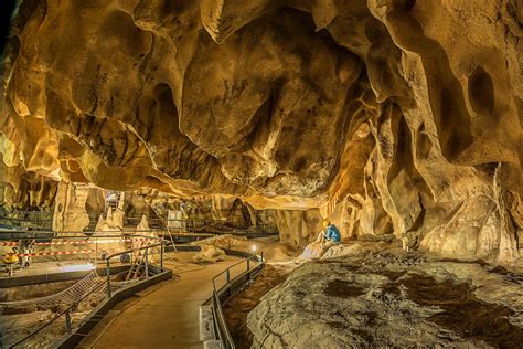 The Hidden Gallery of Chauvet Cave: A Timeless Masterpiece of Ancient ...