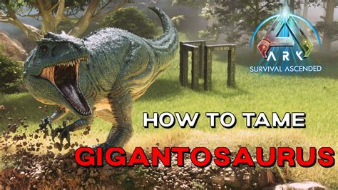 ARK Survival Ascended How To Tame GIGANTOSAURUS GIGA Easy Trap