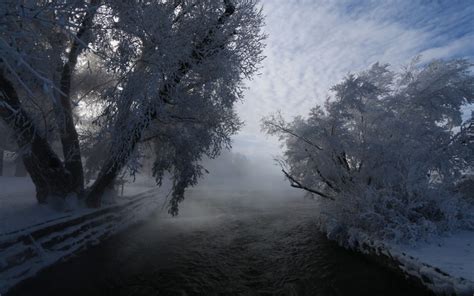 Sunlight Trees Landscape Forest Nature Reflection Snow Winter