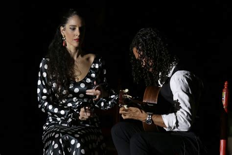 Flamenco guitar, all you need to know | El Palacio Andaluz