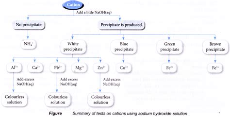 Test For Cations And Anions In Aqueous Solutions Cbse Library