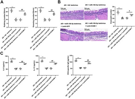 Upregulation Of Icam Counteracts The Protective Role Of Mir P To