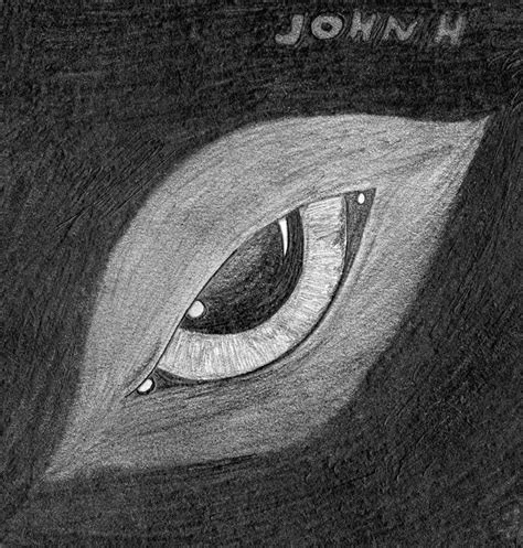 Wolf Eye Drawing by ZAviX-Triad on DeviantArt