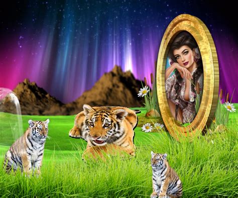 It Smichelle S Wildlife Frames Beautiful Tigers Wildlife Beautiful