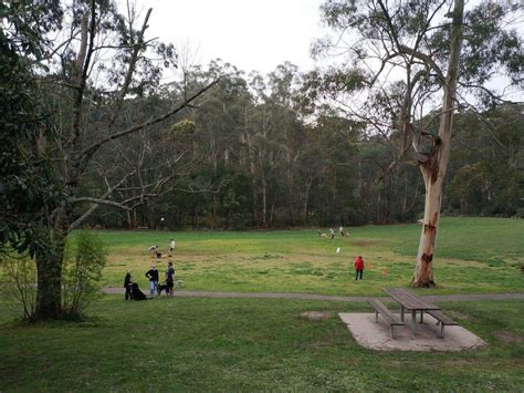 Belgrave Lake Park Bbq Playground Market And Fishing Map Vic