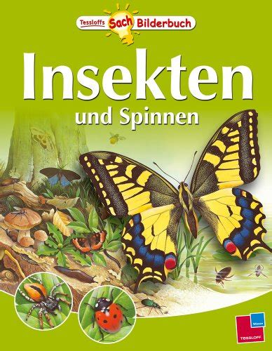 Amazon Co Jp Insekten Und Spinnen Erstes Sachbuch Coombs Rachel