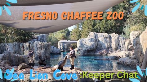 Fresno Chaffee Zoo Sea Lion Cove Full Keeper Chat Youtube