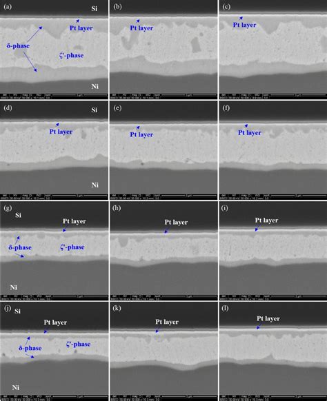 Cross Sectional Sem Images Of The Solder Joints Formed A C