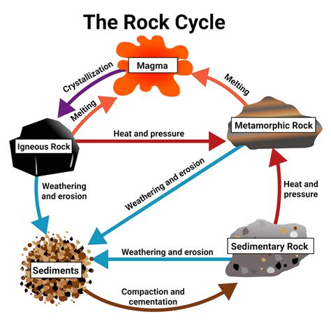 rock cycle diagram worksheet printable tedy printable activities