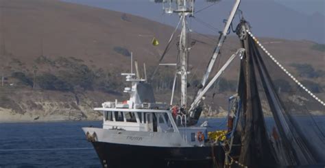 Pacific Council Votes For Status Quo On California Sardine Fishery