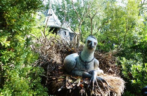 Review: Flight of the Hippogriff at the Wizarding World of Harry Potter ...