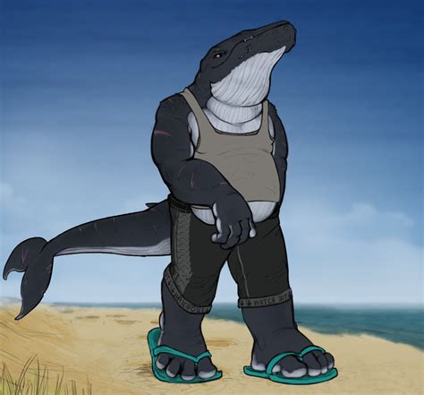 Anthro Whale