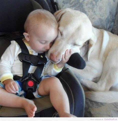 Sleeping Dog And Baby Dogs And Kids I Love Dogs Animals For Kids Puppy