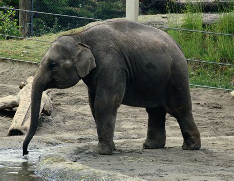 How zoologist pay compares to other careers in the sciences today 11