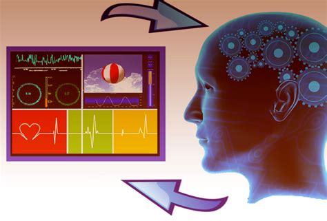 Historia Del Biofeedback Que Es Terapias ElitePsicologos