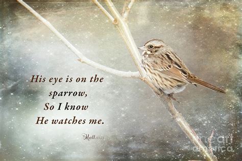 His Eye Is On The Sparrow Photograph By Eleanor Abramson Fine Art America