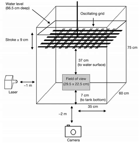 Schematic Drawing Of Experimental Set Up Not To Scale Download Scientific Diagram