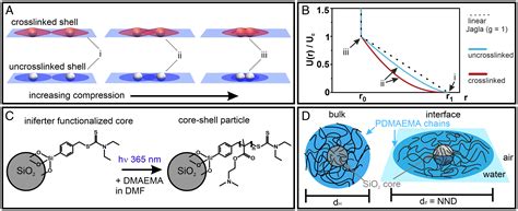 Defined Coreshell Particles As The Key To Complex Interfacial Self