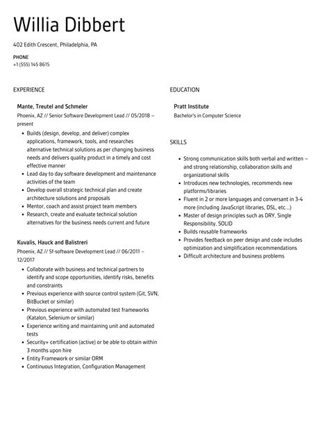 Software Development Lead Resume Samples Velvet Jobs