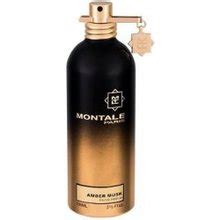 Montale Amber Musk EDP 100 Ml Kainos Nuo 65 99 Kaina24 Lt