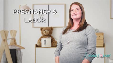 Surrogacy Journey Overview Road To Baby Surrogacy And Egg Donation