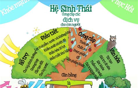 Các Dịch vụ của Hệ sinh thái và Sự đa dạng sinh học