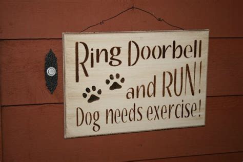 19 Funny Dog Signs That Will Make Every Dog Lover Smile