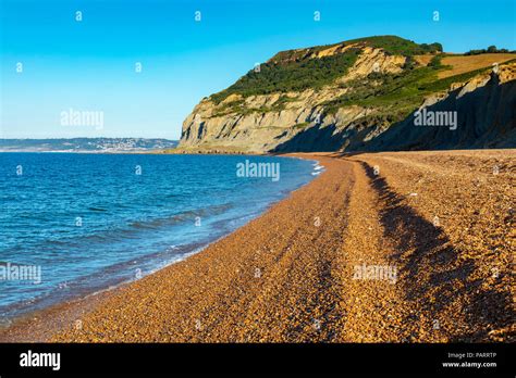 Seatown Dorset England July View Of Golden Cap The Highest