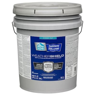 HGTV HOME by Sherwin-Williams Flat Exterior Paint at Lowes.com