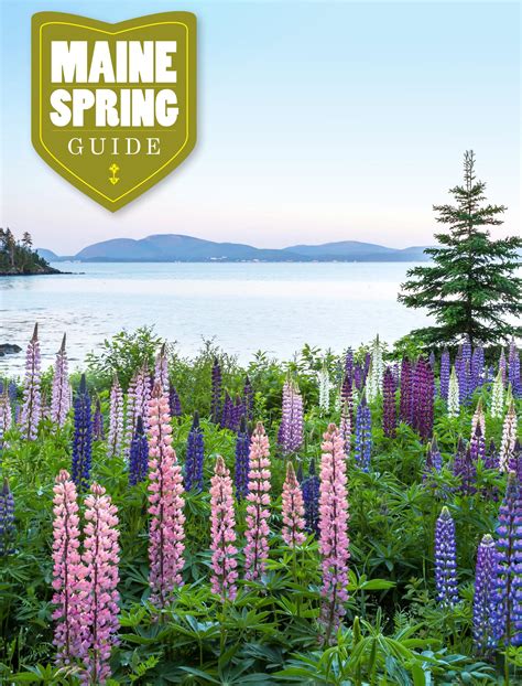 2022 Maine Spring Travel Guide By Yankee Magazine Issuu