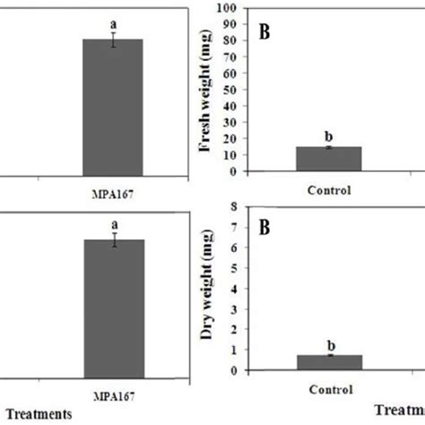 In Vitro Plant Growth Promotion Of Tobacco A And Arabidopsis B