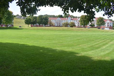 New Ulm MN Journal Obituaries: Discovering Local Life Stories and Memories 1