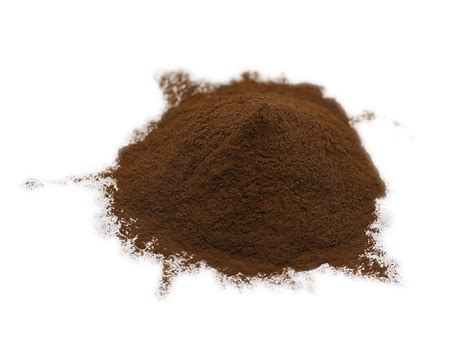 Bulk Organic Reishi Mushroom Powder Manufacturer Supplier ORGANICWAY