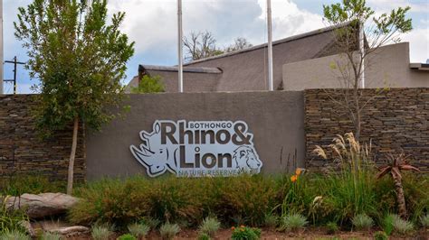 bothongo rhino lion nature reserve easter getaway footnotes media