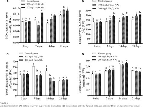 Figure 1 From ICP MS Based Metallomics And GC MS Based Metabolomics