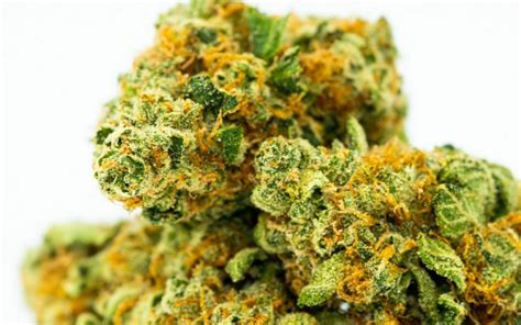 15 Best Weed Strains | 5 Best Marijuana Strains of each Kind