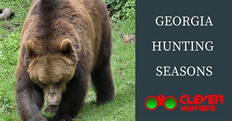 The Best Guide For Georgia Hunting Seasons 2018 - 2019, Know It All!