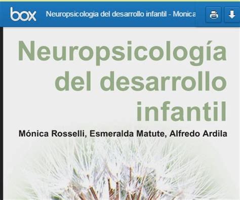 Logopedia En Especial Neuropsicologia Del Desarrollo Infantil Monica