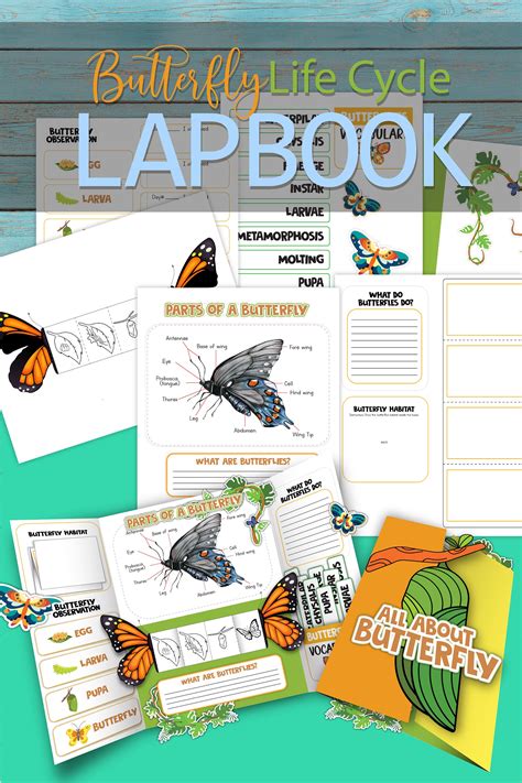 Butterfly Lapbook Lapbook Ideas Cuadernos Interactivos Libros The Sexiz Pix