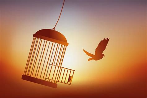 Liberation Birds Flying Out Of Cage Freedom Concept Bird Set Free A