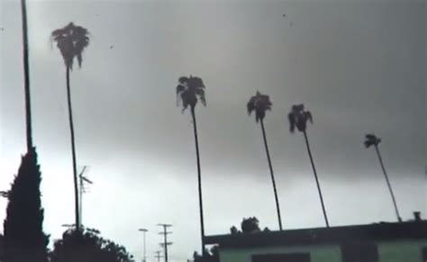 Rare Tornado Hits Los Angeles | RTM - RightThisMinute