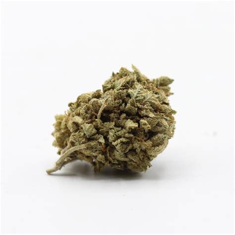 Venom AA 2 25 Gram Crazycannabis Online Dispensary Canada Buy